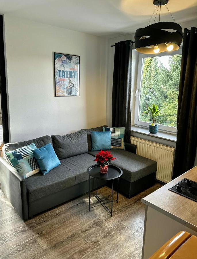 Swarny Zakatek Apartment ซาโกปาเน ภายนอก รูปภาพ